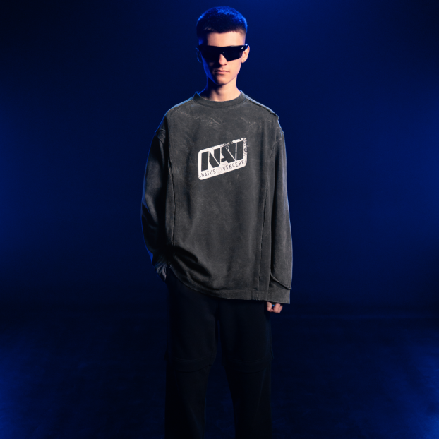 Grey Vintage Longsleeve NAVI x LITKOVSKA 2.0