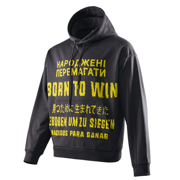 Серая худи Born to win NAVI x LITKOVSKA 2.0