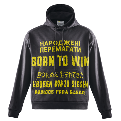 Серая худи Born to win NAVI x LITKOVSKA 2.0