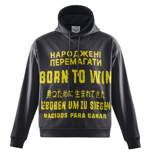 Серая худи Born to win NAVI x LITKOVSKA 2.0