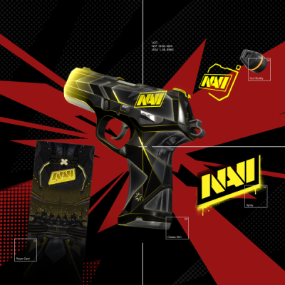 NAVI Team Capsule
