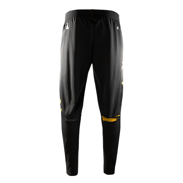 Штаны игровые NAVI x PUMA 2023 Pro kit