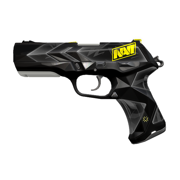 NAVI Team Capsule